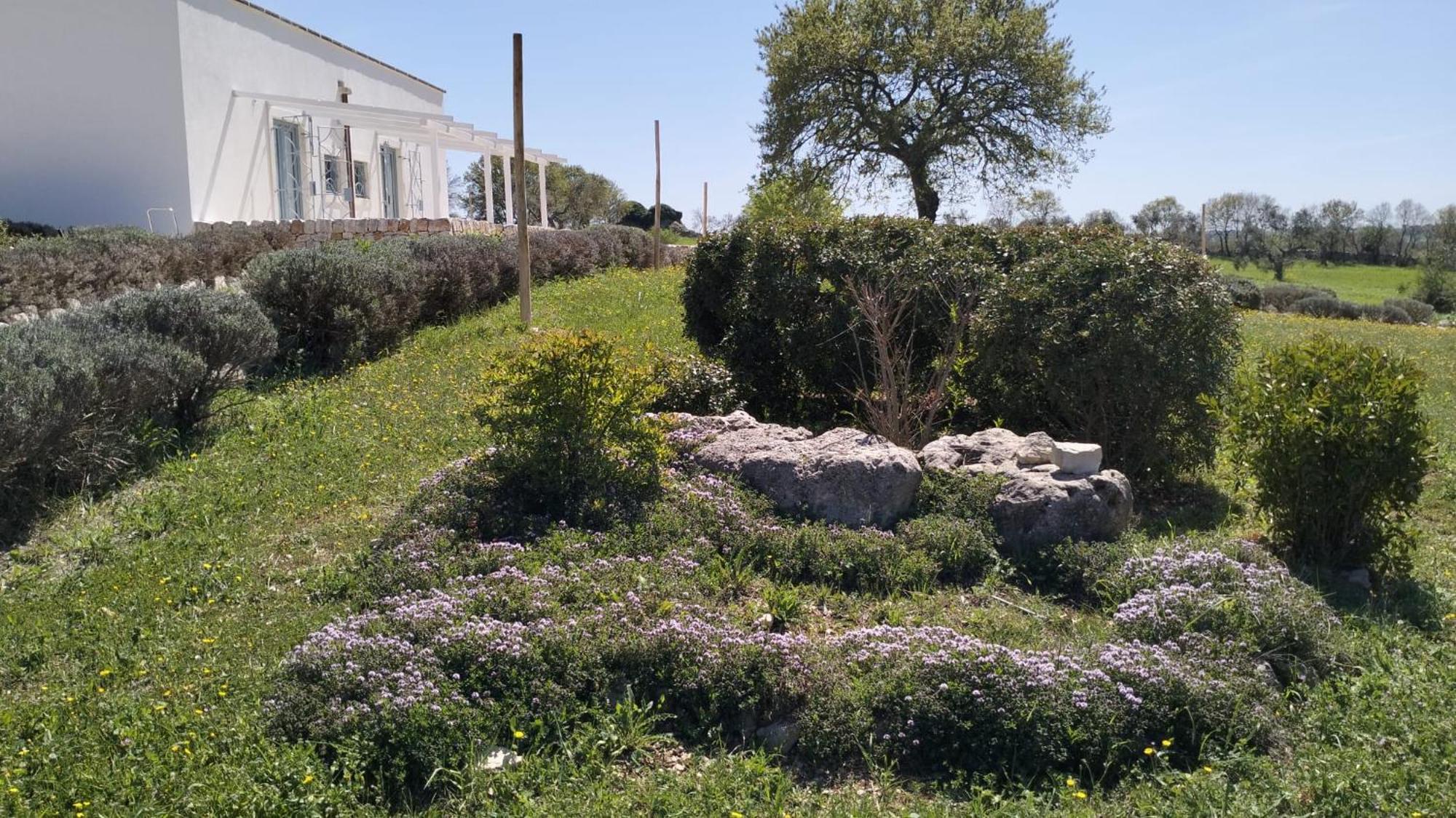 Trullo Dimora Podere Papilio Noci Exterior photo